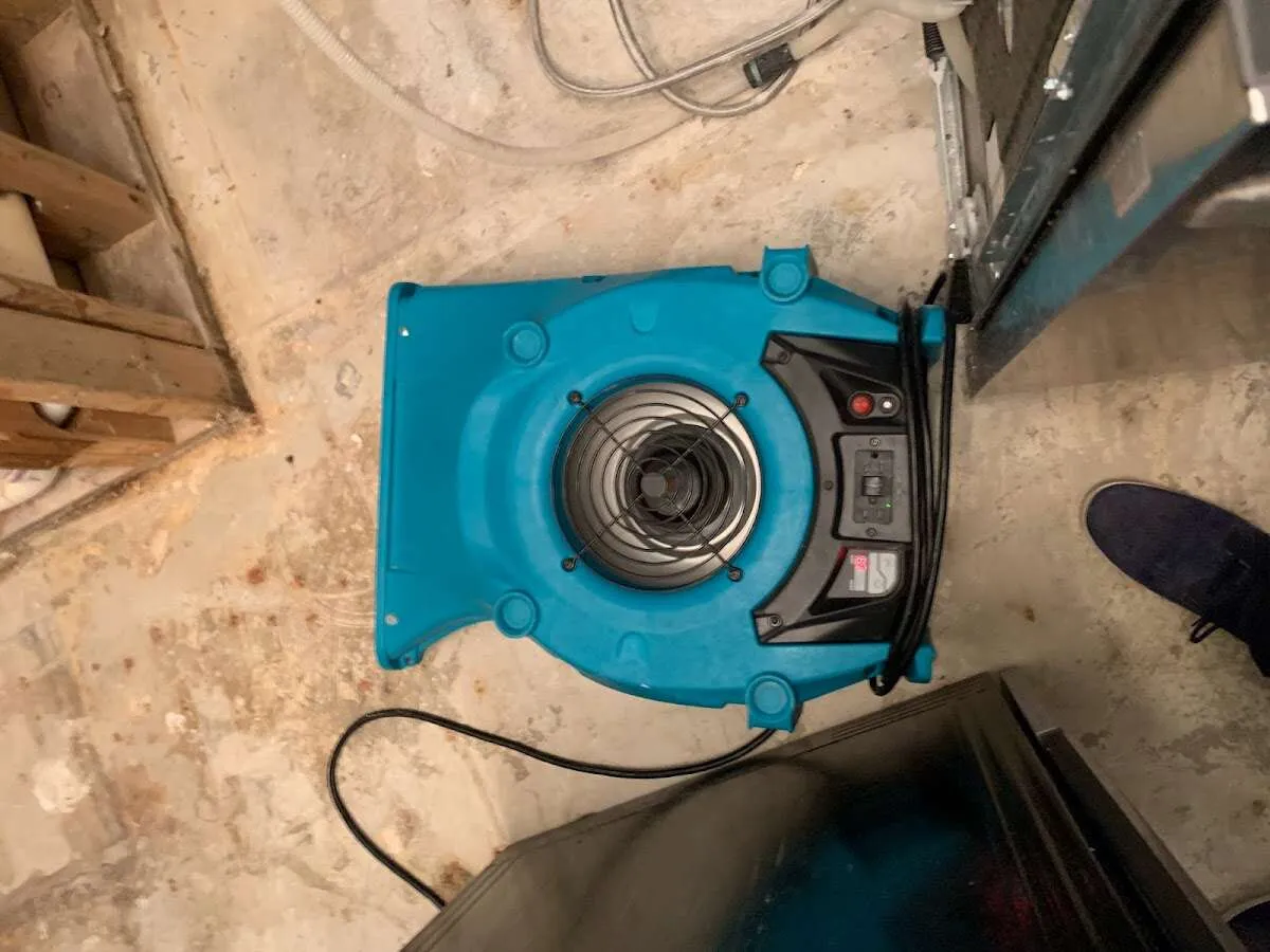 Air mover drying equipment for Mold Remediation & Removal in Abingdon